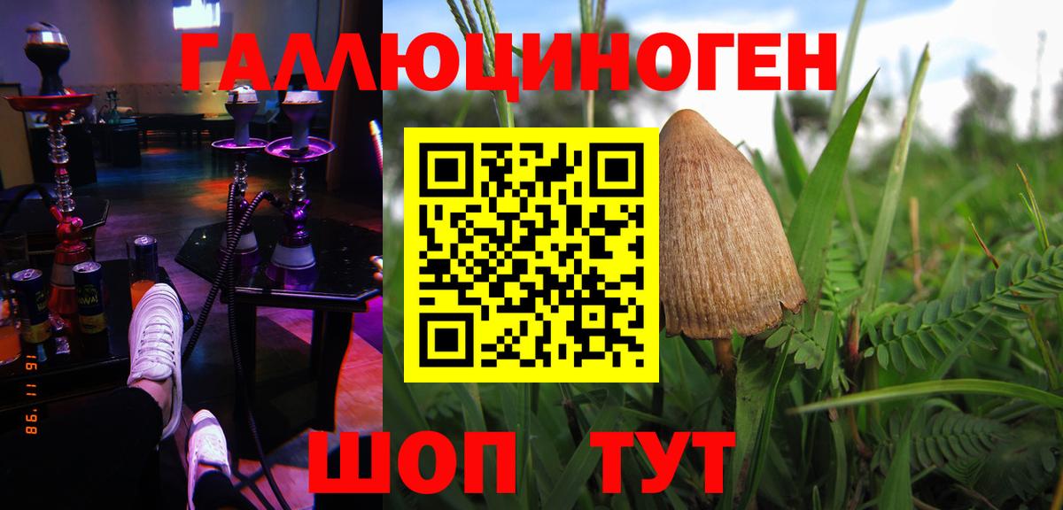 купить закладку  Вход с VPN  Ноябрьск  Галлюциногенные грибы Psilocybine cubensis  Галлюциногенные грибы мухоморы 